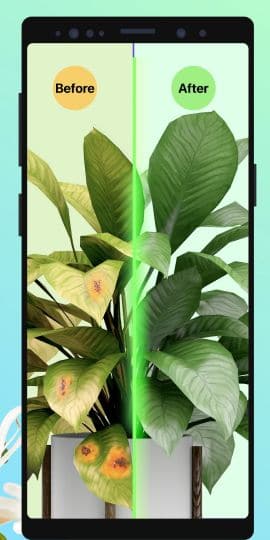 PictureThis：撮ったら、判る-1秒植物図鑑